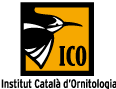 ICO