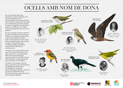 Ocells amb nom de dona