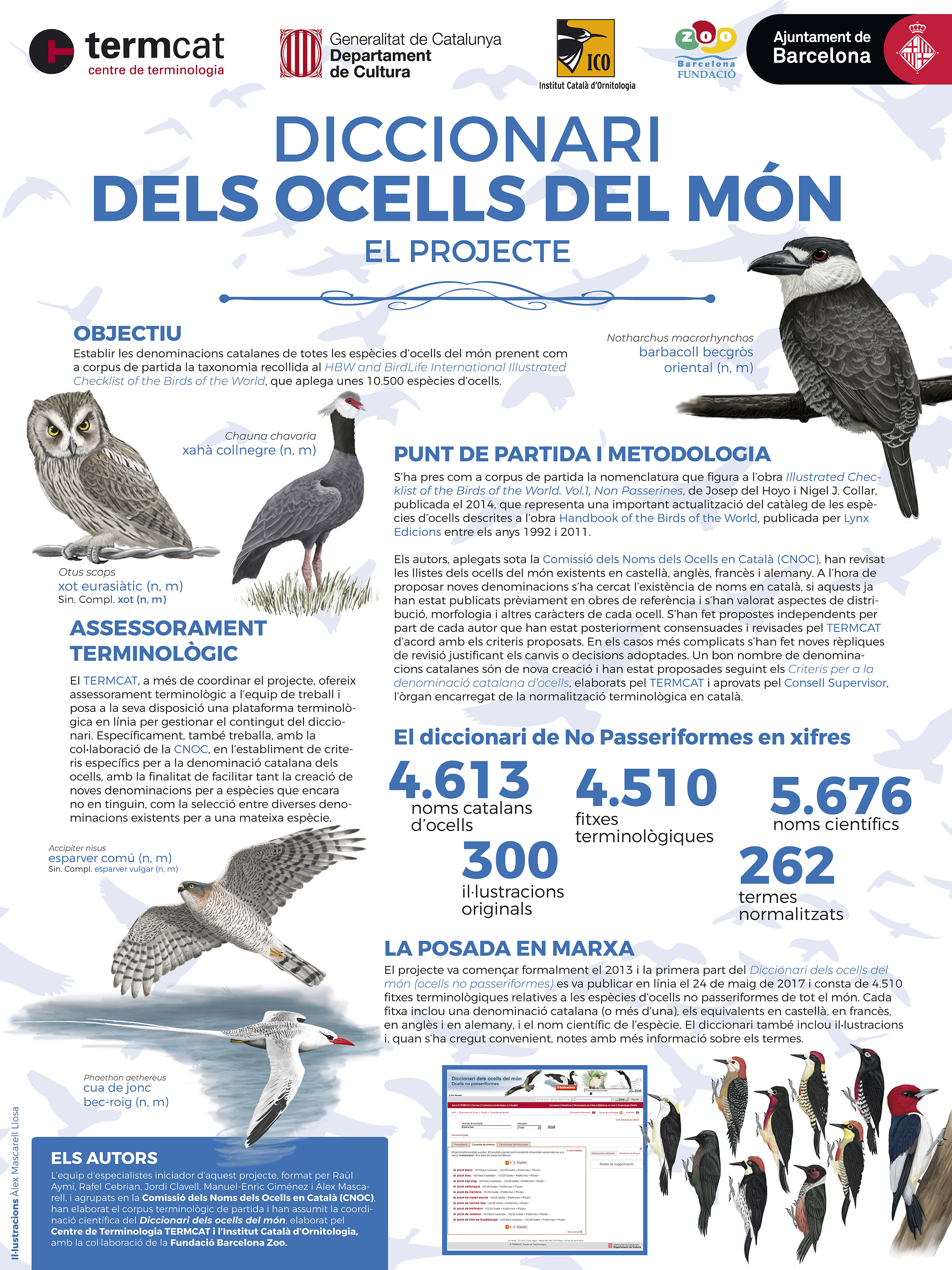Ocells del món. Projecte