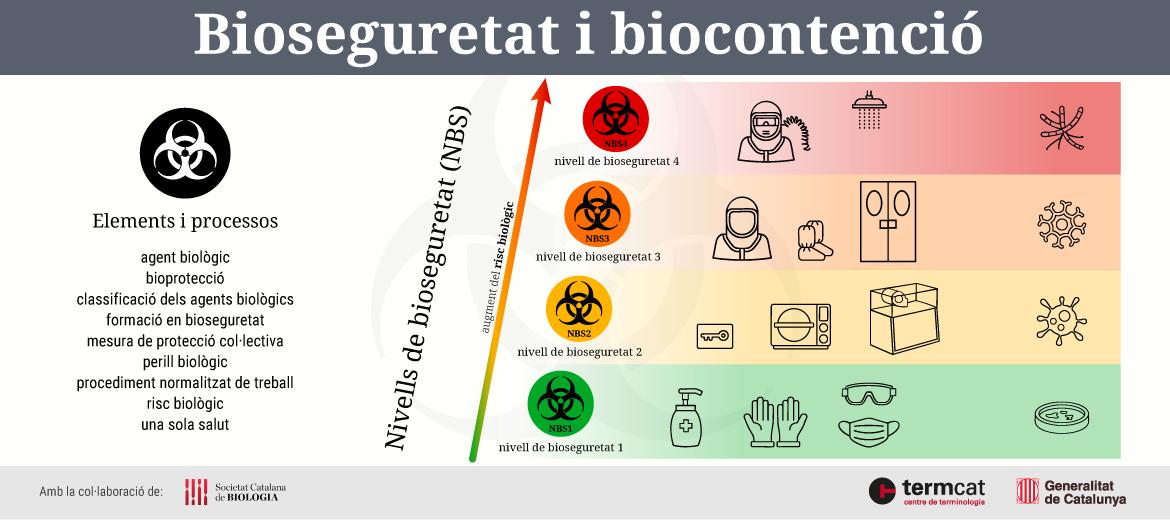 Imatge del diccionari